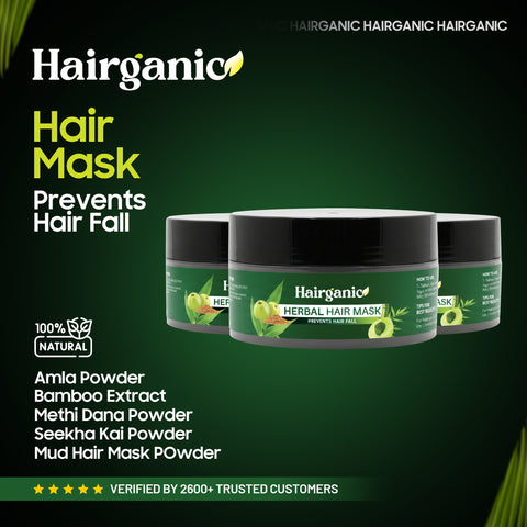 Hairganic herbal hair mask key ingredients — Bamboo Extract, Amla, Methi Dana, Shikakai, Mud Powder