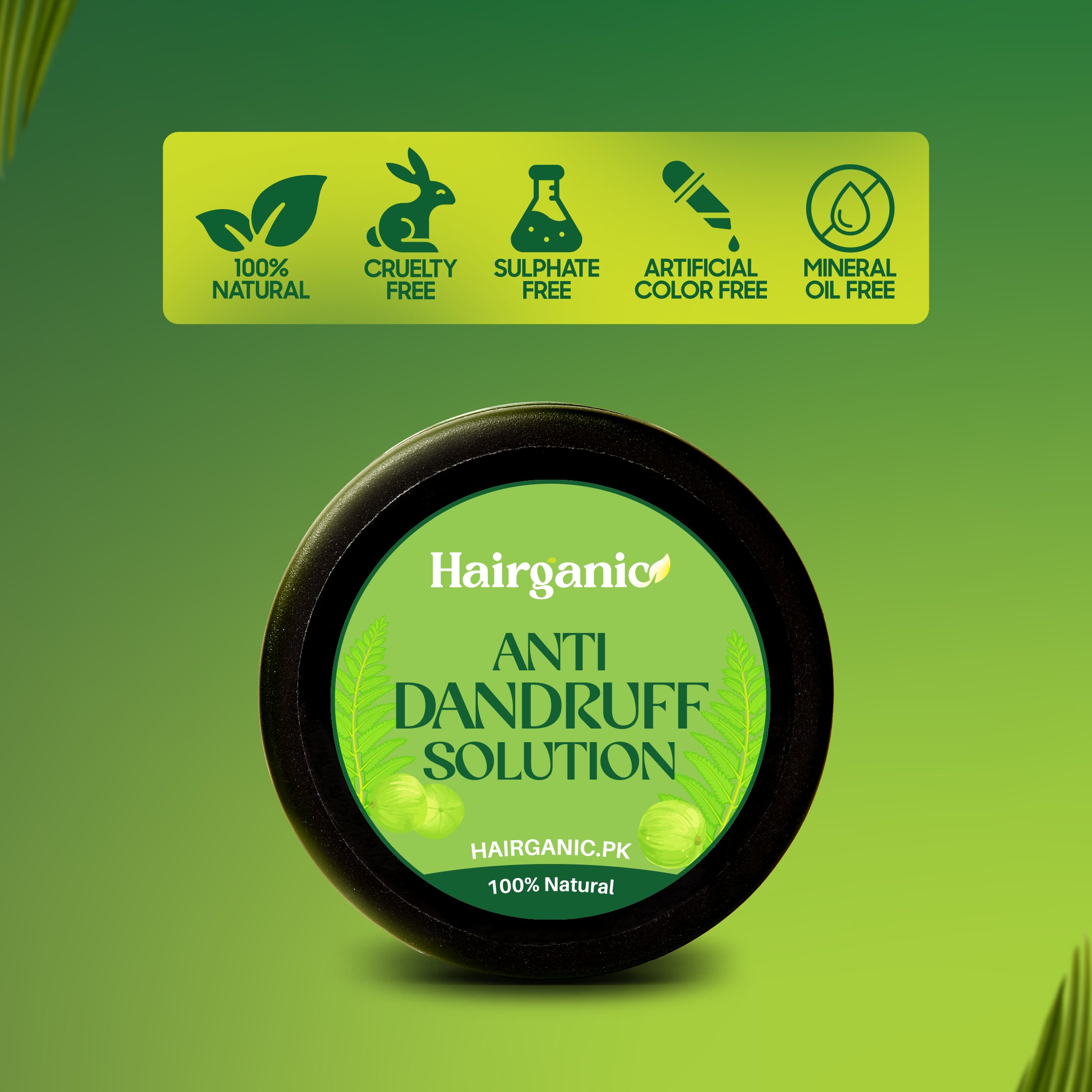 Best dandruff solution in Pakistan — Hairganic organic anti-dandruff treatment, PCSIR certified
