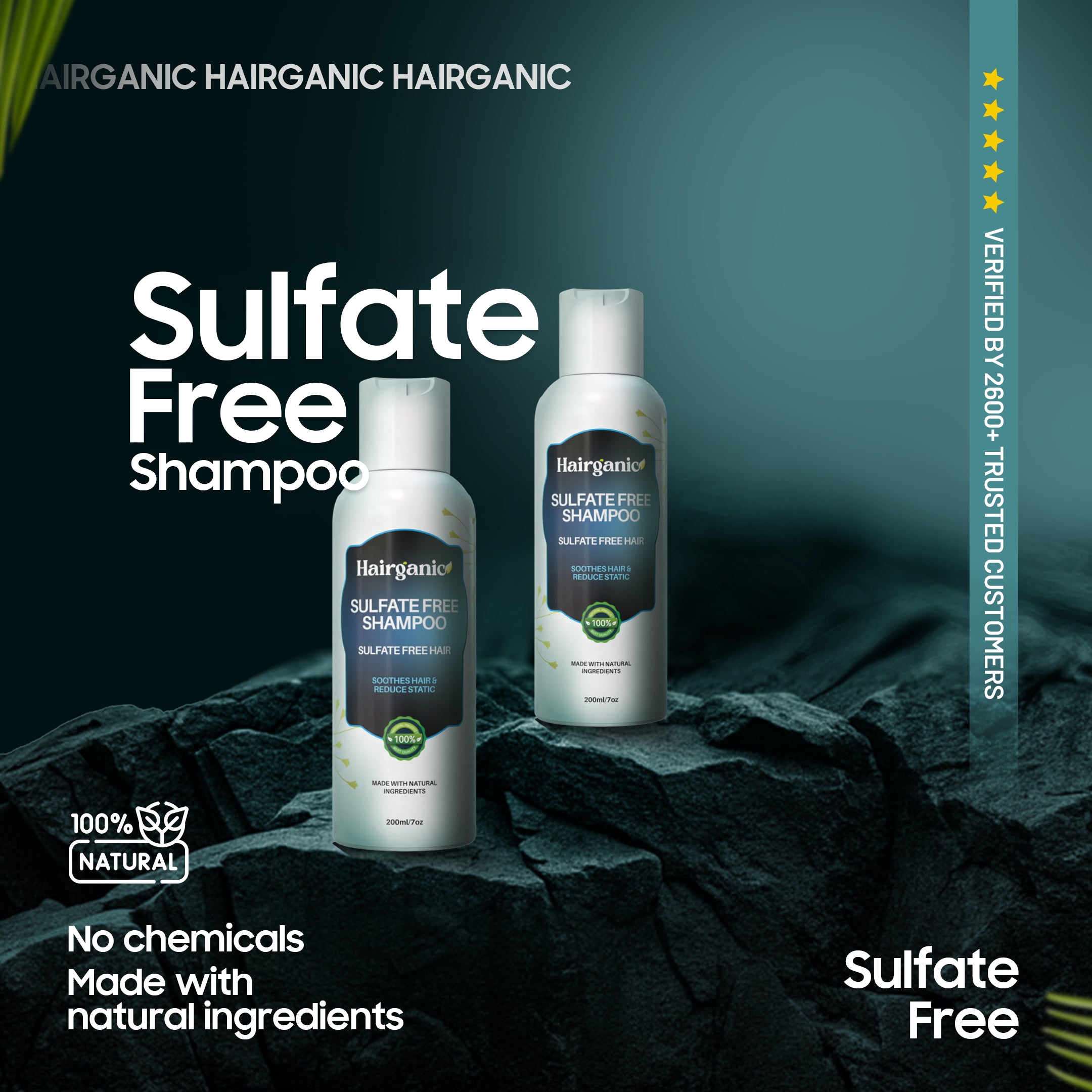 Hairganic Sulfate Free Shampoo Pakistan — Gentle Cleanse, Frizz-Free, PCSIR Lab Tested