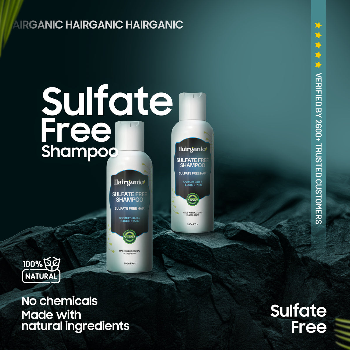 Hairganic Sulfate Free Shampoo Pakistan — Gentle Cleanse, Frizz-Free, PCSIR Lab Tested